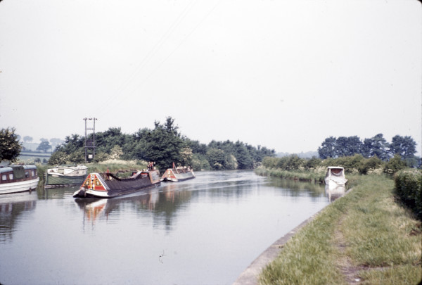 BW197-2-8-12-3 image BW197-2-8-12-3