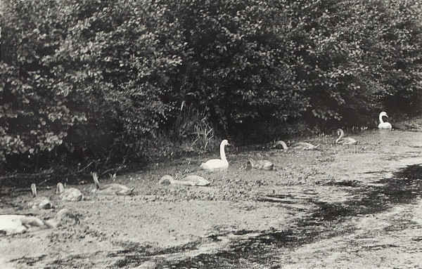 BW200-1-7-22-3 image BW200-1-7-22-3