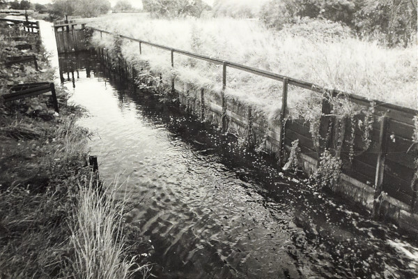 BW200-1-47-22-3 image BW200-1-47-22-3