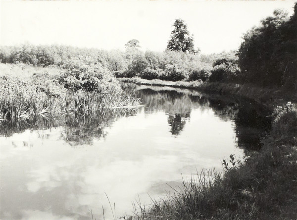 BW200-1-89-32-3 image BW200-1-89-32-3