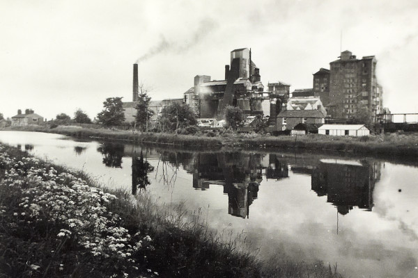 BW200-1-99-82-3 image BW200-1-99-82-3