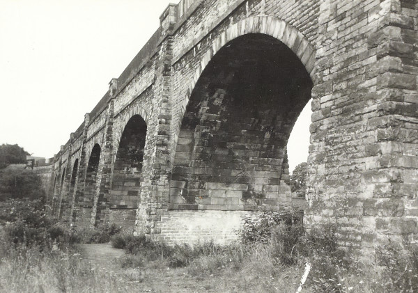 BW200-1-100-3-3 image BW200-1-100-3-3