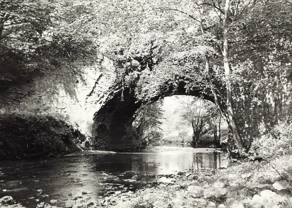 BW200-1-51-3-3 image BW200-1-51-3-3