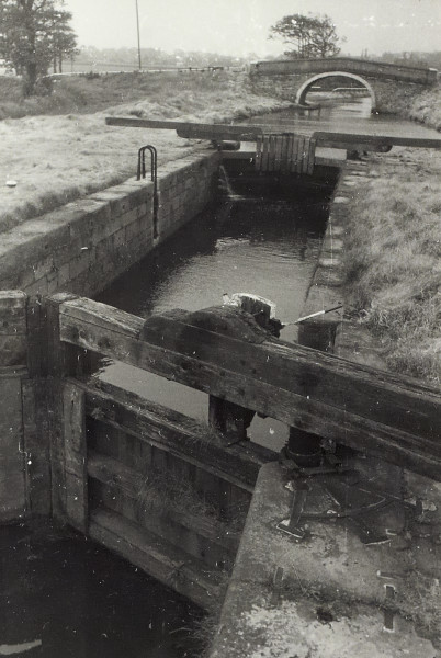 BW200-1-52-3-3-3 image BW200-1-52-3-3-3