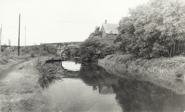 BW200-1-43-3-3 image BW200-1-43-3-3