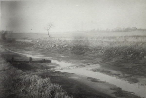 BW192-3-1-29-13-3 image BW192-3-1-29-13-3