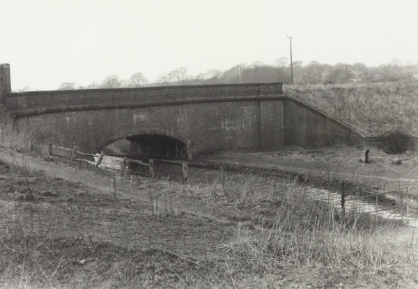 BW192-3-2-1-14-3 image BW192-3-2-1-14-3