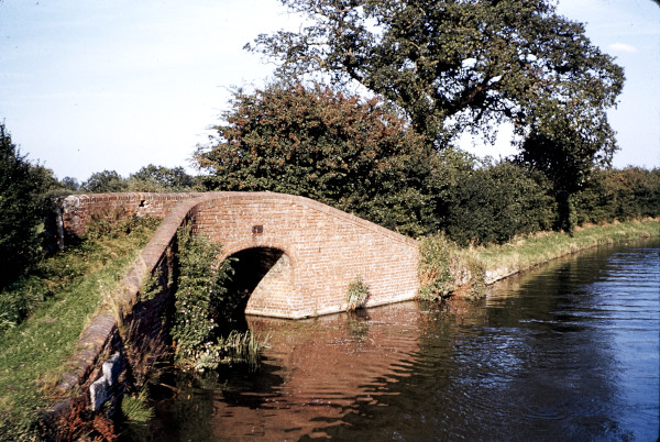 BW197-2-34-14-3 image BW197-2-34-14-3