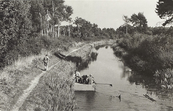 BW200-1-7-14-3 image BW200-1-7-14-3