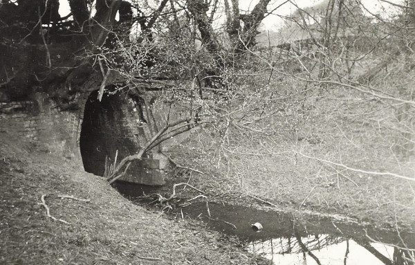 BW200-1-51-5-3 image BW200-1-51-5-3