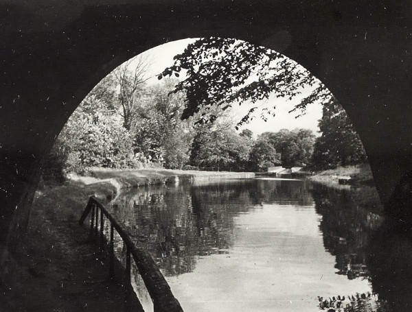 BW200-1-55-5-3 image BW200-1-55-5-3