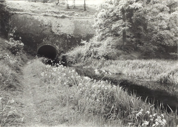 BW200-1-27-5-3 image BW200-1-27-5-3