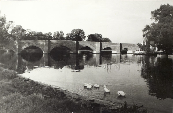 BW200-1-96-15-3 image BW200-1-96-15-3