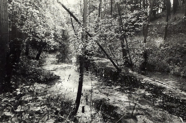 BW200-1-51-6-3 image BW200-1-51-6-3