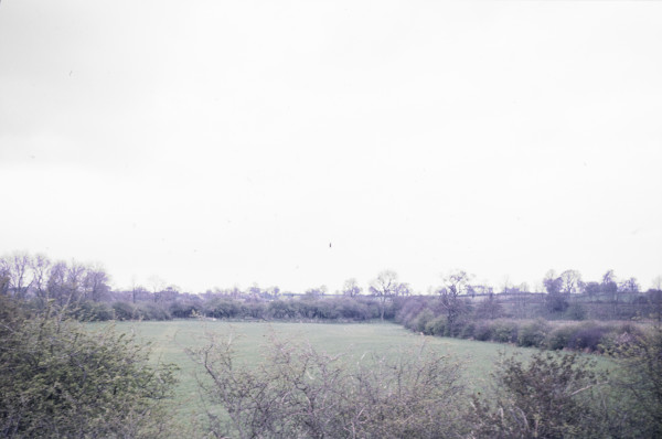 BW197-2-28-26-3 image BW197-2-28-26-3