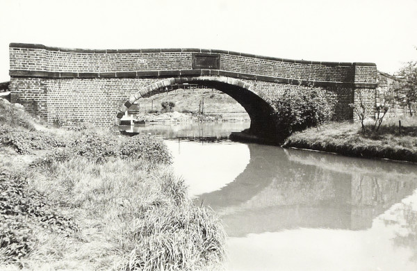 BW200-1-99-56-3 image BW200-1-99-56-3