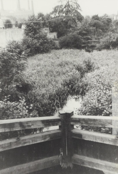 BW192-3-2-2-7-3 image BW192-3-2-2-7-3