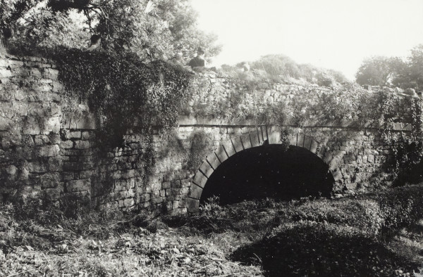 BW192-3-1-24-7-3 image BW192-3-1-24-7-3