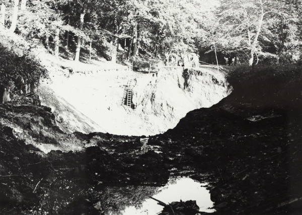 BW192-3-1-36-7-3 image BW192-3-1-36-7-3