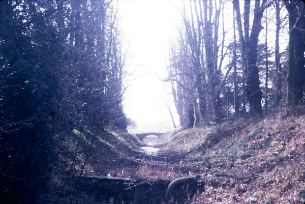 BW197-2-22-17-3 image BW197-2-22-17-3