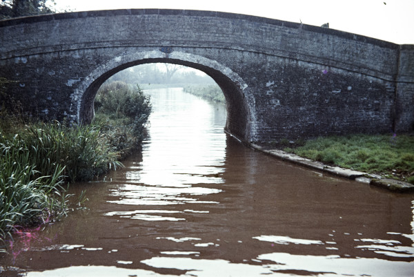 BW197-2-10-47-3 image BW197-2-10-47-3