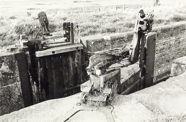 image BW200-1-81-8-3