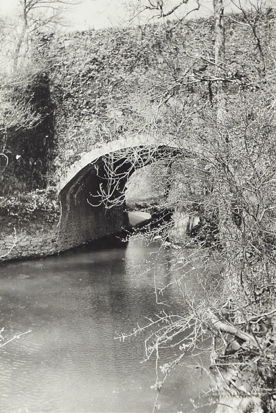 BW200-1-16-8-3 image BW200-1-16-8-3