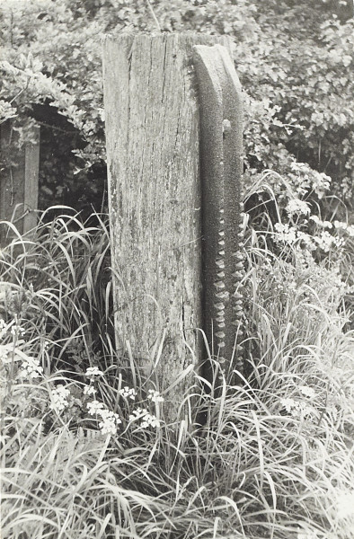 BW200-1-18-8-3 image BW200-1-18-8-3