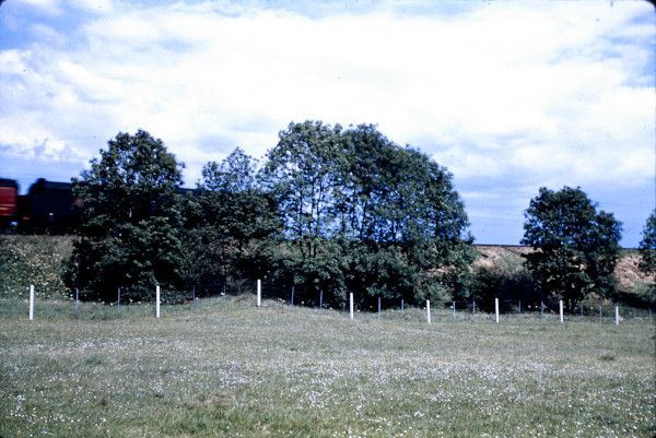 BW197-2-28-3 image BW197-2-28-3