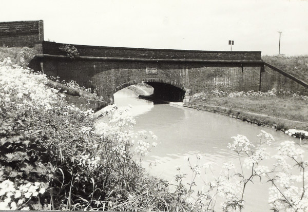 BW200-1-99-58-3 image BW200-1-99-58-3