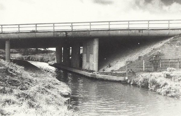 BW200-1-99-98-3 image BW200-1-99-98-3