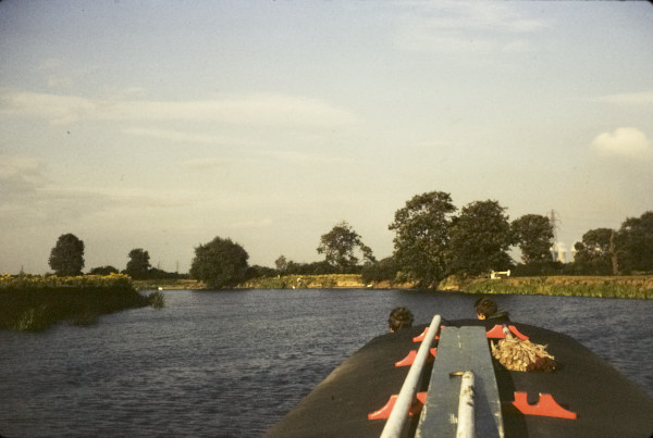 BW197-2-21-9-3 image BW197-2-21-9-3