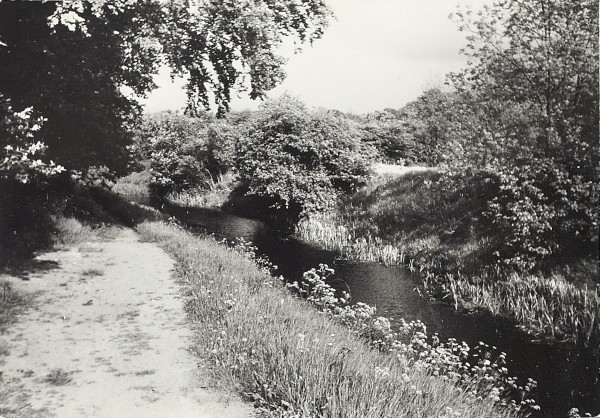 BW200-1-18-9-3 image BW200-1-18-9-3