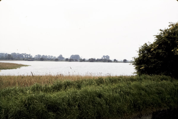 BW197-2-8-29-3 image BW197-2-8-29-3