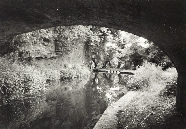 BW200-1-89-29-3 image BW200-1-89-29-3