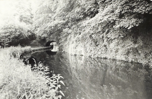 BW200-1-89-39-3 image BW200-1-89-39-3