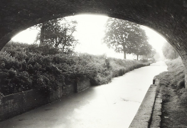 BW200-1-47-49-3 image BW200-1-47-49-3