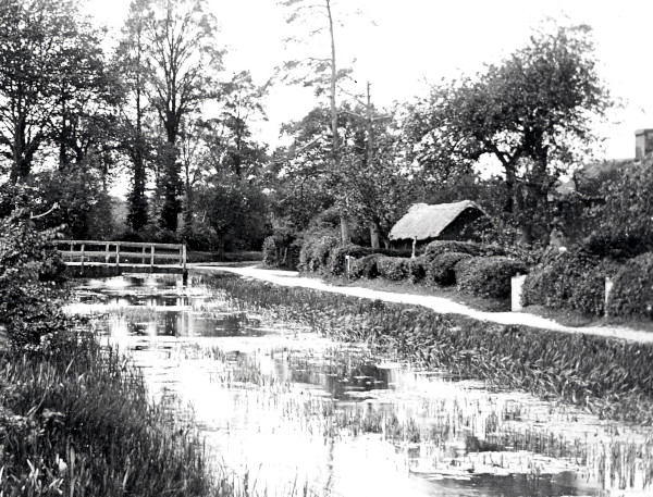 R0203 image R0203