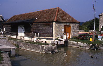 crt_wild_212 image crt_wild_212