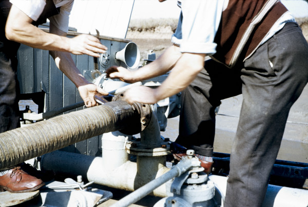 BW197-2-4-13 image BW197-2-4-13