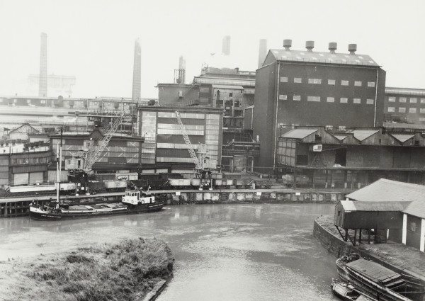 BW192-3-1-34-6-13 image BW192-3-1-34-6-13