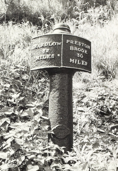 BW200-1-99-57-13 image BW200-1-99-57-13