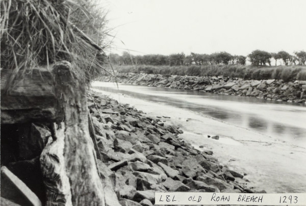 BW192-3-1-29-8-13 image BW192-3-1-29-8-13