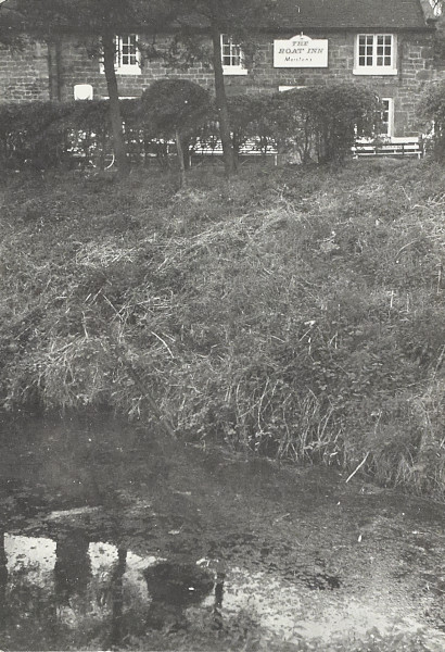 BW200-1-18-13 image BW200-1-18-13