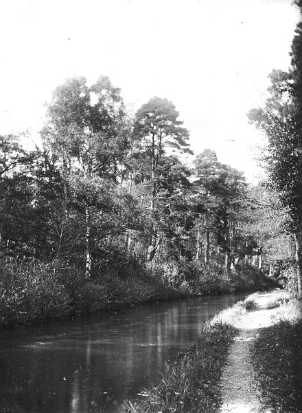 R0213 image R0213
