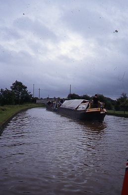 crt_wild_103 image crt_wild_103