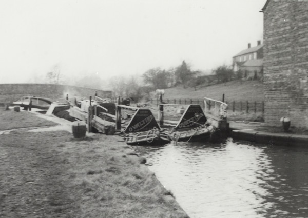 BW192-3-2-2-13-1-313 image BW192-3-2-2-13-1-313