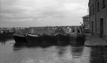 crt-stammers-bm-029 image crt-stammers-bm-029