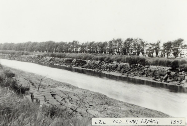 BW192-3-1-29-8-23 image BW192-3-1-29-8-23