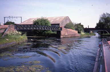 crt_wild_114 image crt_wild_114